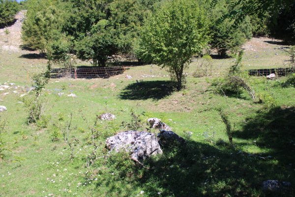 Dio drage smještene stotinjak metara sjeveroistočno od hrama u Jošanima, u kojoj se po predaji nalazi ”Grčko groblje” (Foto: Goran Majetić)