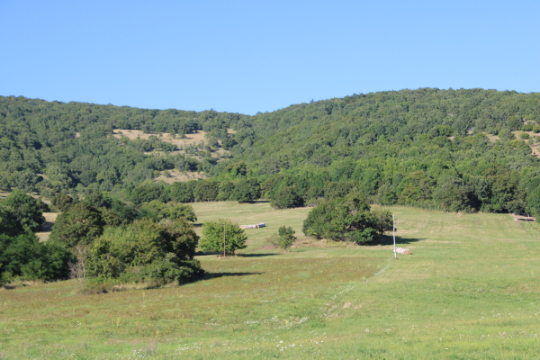 Na položaj crkvine upućuje osamljeni šumarak usred jošanih polja i košanica (Foto: Goran Majetić)