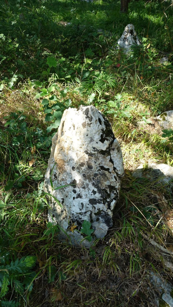 Još dvije vapnenačke grede koje označavaju položaj grobnih raka na Grčkom groblju (Foto: Nikola Cetina)