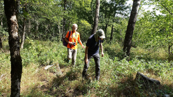 Faruk islamović i Goran Majetić u potrazi za nadgrobnim znamenjem Grčkog groblja u Mogoriću (Foto: Nikola Cetina)