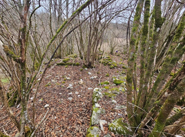 Jedna od prostorija blagajskog lječilišta (Foto: Tomislav Beronić)