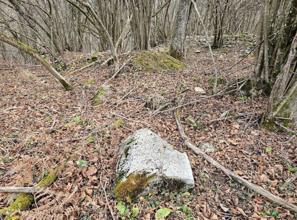 U šumarku pod čijim plaštom se nalaze ostatci lječilišta mogu se uočiti i veliko, pravilno oklesano, kamenje kojim su bili zidani dijelovi građevina (Foto: Tomislav Beronić)