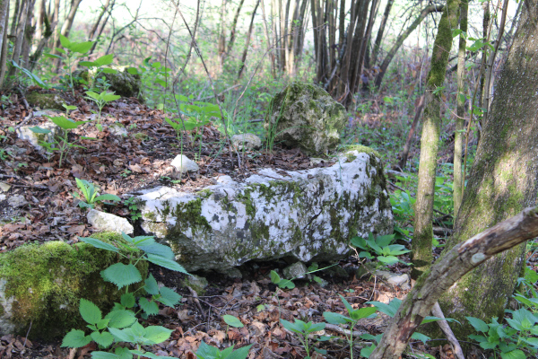 Najveći vidljivi monolit u temeljima vanjskog zida na sjeveroistočnom uglu lječilišta (Foto: Goran Majetić)