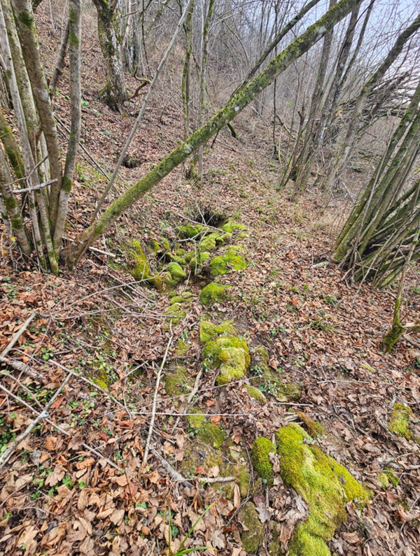 Presahli izvor u neposrednoj blizini uzvišice na kojoj se nalazilo lječilište (Foto: Tomislav Beronić)