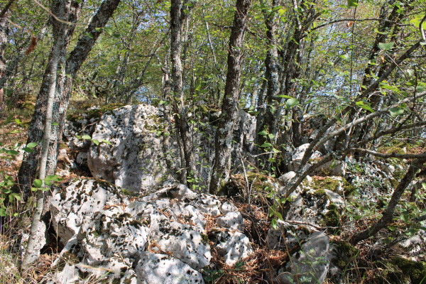 Nedaleko stijene, ispod koje su po iskazu mještana bila Vrata, nalazi se gomila naslaganog kamena nepoznatog podrijetla i namjene (Foto: Goran Majetić)