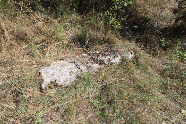 Velika kamena nadgrobnica na mazinskoj Crkvini (Foto: Goran Majetić)