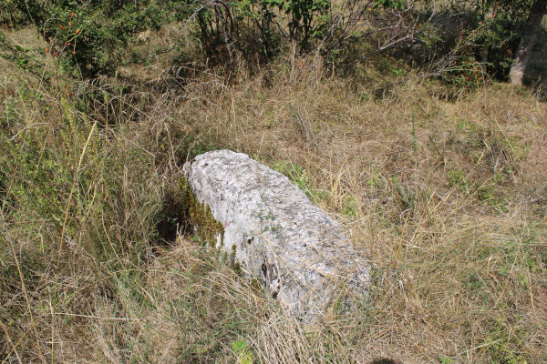 Stećak - sanduk, dugačak 170, širok 55 i debeo do 38 centimetara, koji je vjerojatno iz polegnutog položaja naknadno prevaljen na bok (Foto: Goran Majetić)