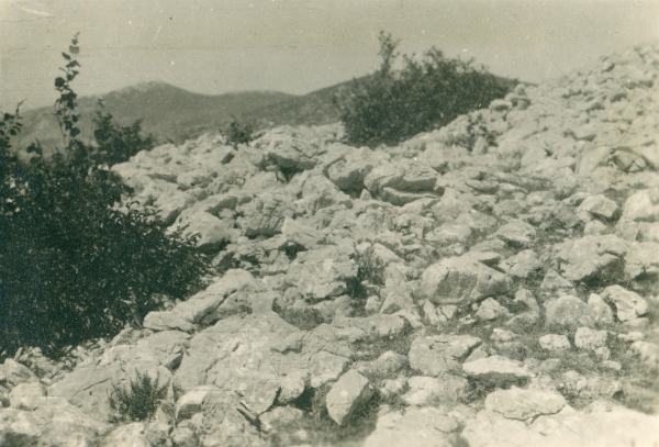 Na kamenom bedemu prapovijesne gradine na vrhu Veliki Risovac 7. kolovoza 1931. godine (Izvor: Fototeka Ministarstva kulture i medija (fototeka.min-kulture.hr); Foto: Većeslav Henneberg)