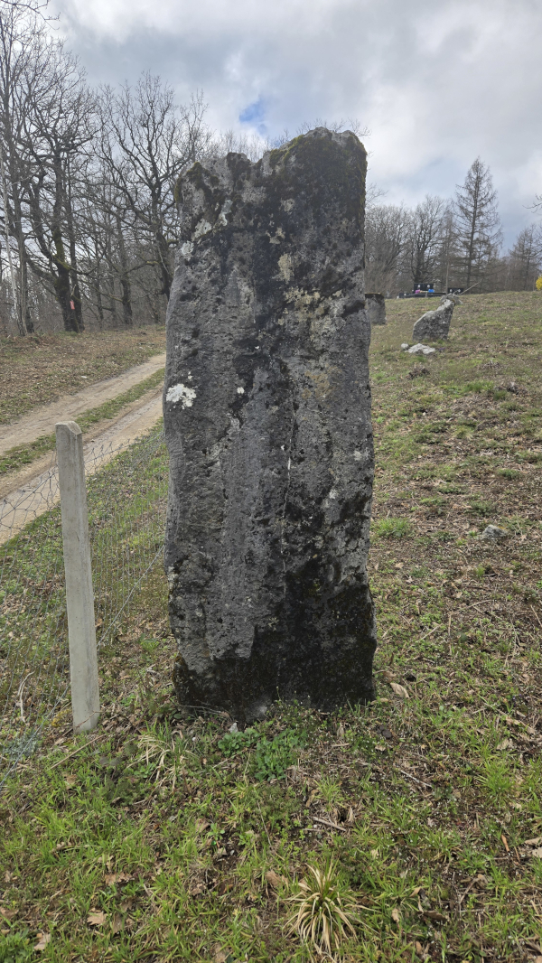 (Foto: Brane Vuković)