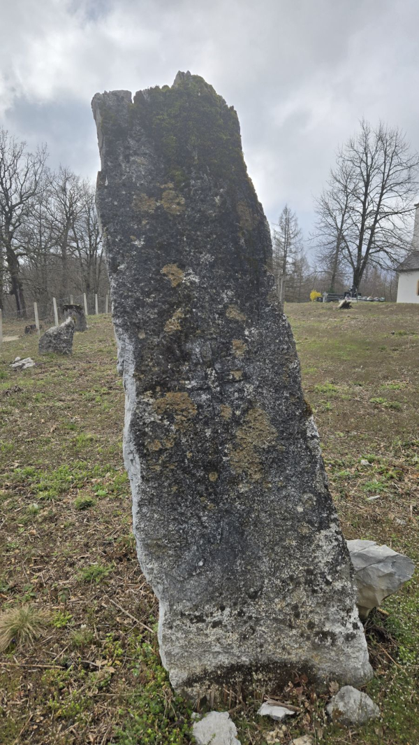 (Foto: Brane Vuković)