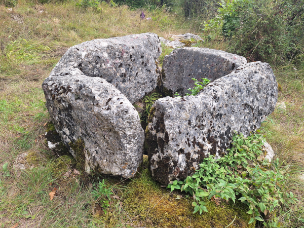 Ploče koje ograđuju grlo čatrnje dugačke su do 165, široke do 75 i debele do 40 centimetara, čime odgovaraju veličini stećaka - sanduka (Foto: Faruk Islamović)
