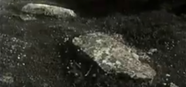 Dio velebnih stećaka ploča i sanduka u selu Velje Duboko; ispod jedne takve nadgrobnice povjesničar Aleksandar Drašković otkopao je neuobičajeno dugačke ljudske kosti (Izvor: YouTube (youtube.com; Milan Knežević ”Rovački katuni”, 1969.))