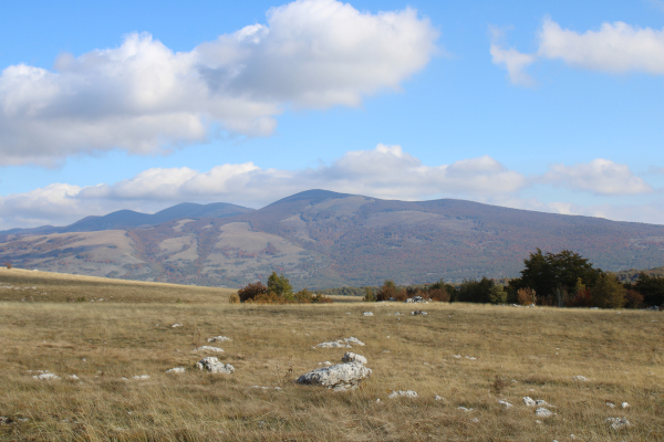Pogled s visoravni Krčana na sjever, prema obroncima Ličke Plješivice; u prvome planu nesuđeni stećak sandučar (Foto:  Goran Majetić)